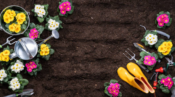 istock Gardening Tools And Flowerpots In Garden 1204893881
