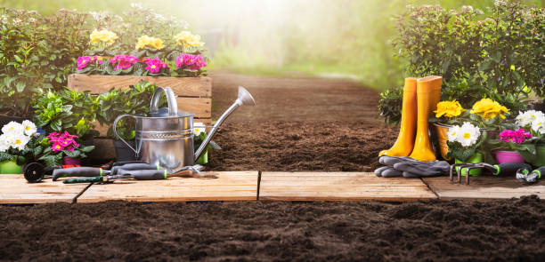 istock Gardening Tools Set And Flowers 1204893896