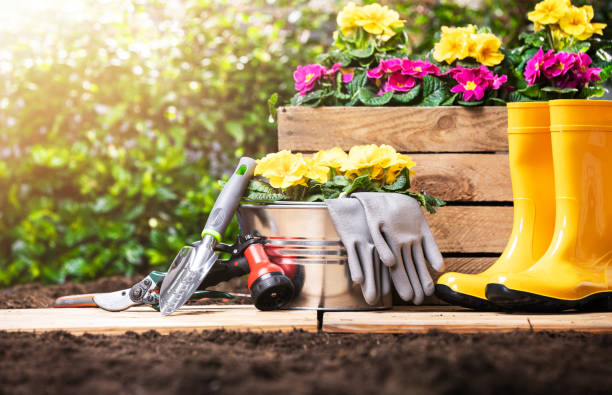 istock Gardening Tools Set And Flowers 1204893915