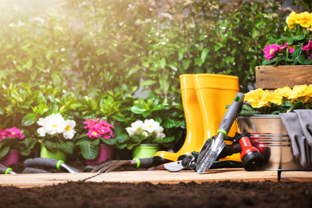 istock Gardening Tools Set And Flowers 1204893919