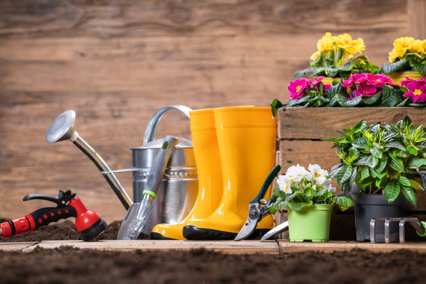 istock Gardening Tools And Flowers 1204893939