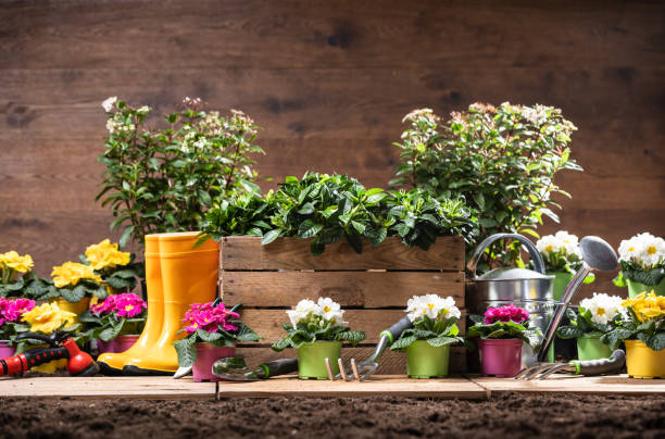 istock Gardening Tools And Flowers 1204893951