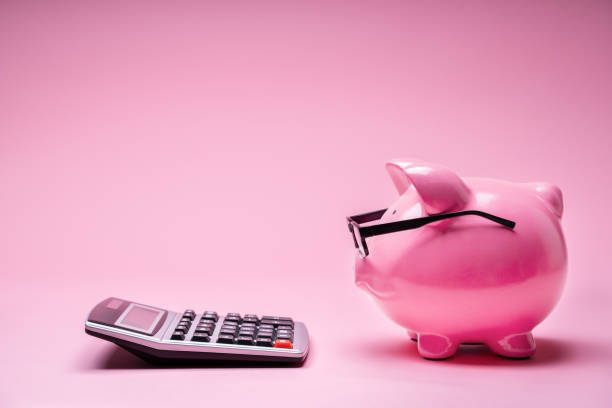 istock Piggybank And Calculator 1204894279