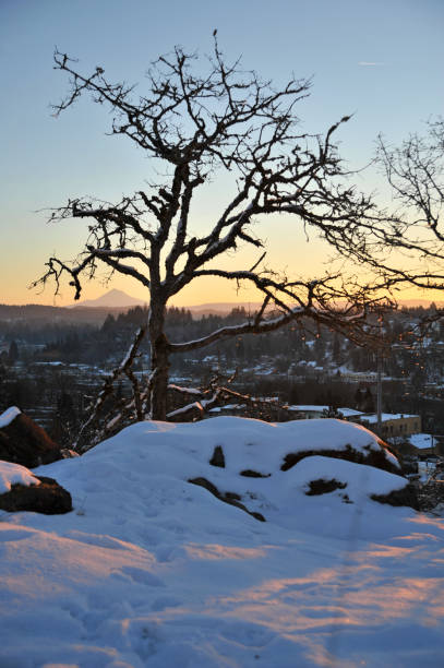 snowy hills - west linn imagens e fotografias de stock