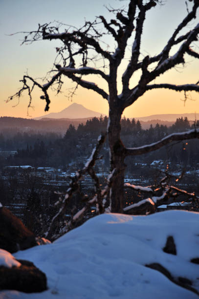 snow and mountains - west linn imagens e fotografias de stock