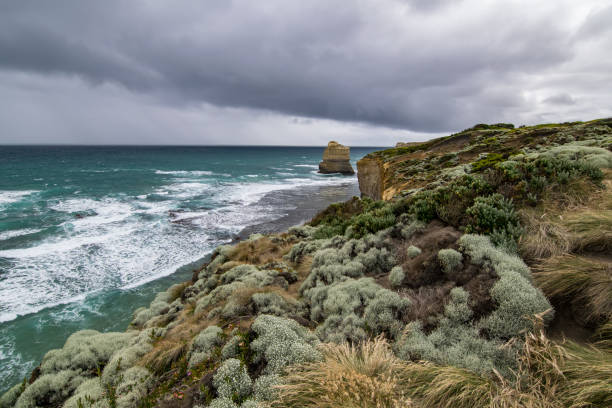 荒天時のポートキャンベル国立公園の海岸線 - australia melbourne landscape twelve apostles ストックフォトと画像