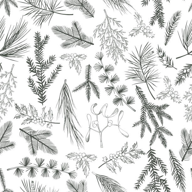 ilustraciones, imágenes clip art, dibujos animados e iconos de stock de patrón vectorial con plantas navideñas - cedro del atlas