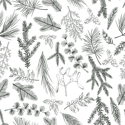 Vector  seamless pattern with hand drawn Christmas plants