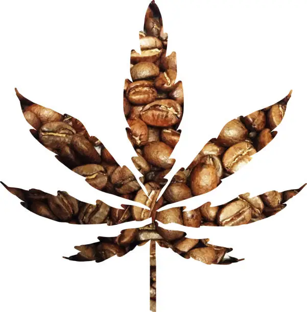 Vector illustration of Pot leaf with roasted coffee bean texture. Cannabis infused coffee.