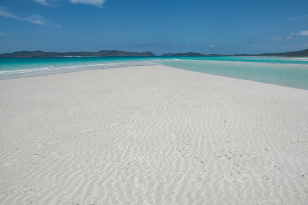 istock Whitehaven Beach at Whitsunday Island 1204895563