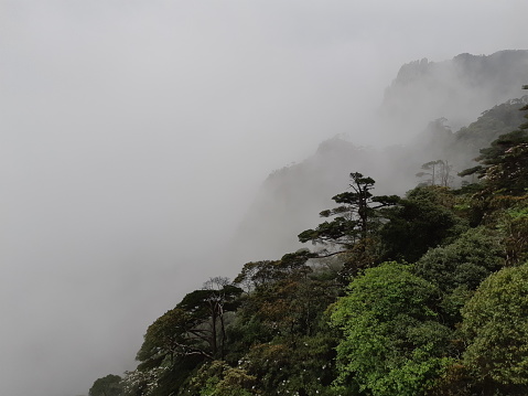 春天的山與霧,中國的黃山