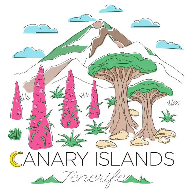 Vector illustration of Vulcano Teide + drago trees + Tajinaste flowers on Tenerife, Canary Islands, Spain. Landscape illustration. Editable stroke