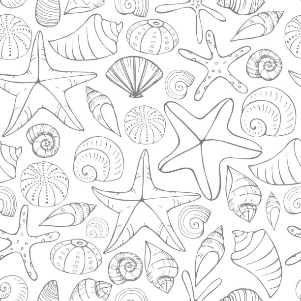 Starfish and seashells. Vector pattern Starfish and seashells. Vector seamless pattern mollusca stock illustrations