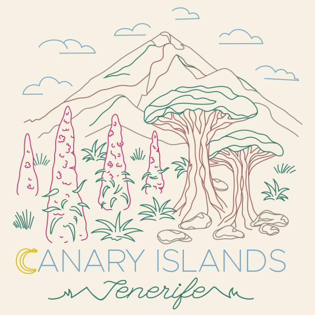 ilustraciones, imágenes clip art, dibujos animados e iconos de stock de tenerife, islas canarias, españa. paisaje de montañas + teide vulcano + drago seres + flores de tajinaste. ilustración lineal en estilo retro. trazo editable multicolor - pico de teide