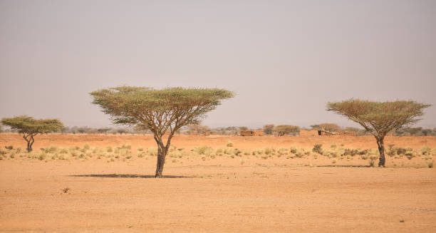 istock Sudan nature city desert pyramids 1204901301