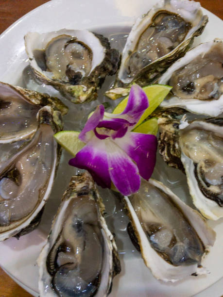 świeże ostrygi z kwiatem orchidei i cytrynowym widokiem z góry, z bliska - prepared shellfish tray variation catch of fish zdjęcia i obrazy z banku zdjęć