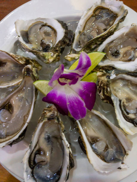 fresh oysters with orchid flower and lemon top view, close up - prepared shellfish tray variation catch of fish imagens e fotografias de stock