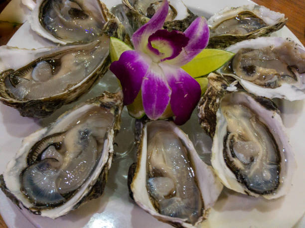 fresh oysters with orchid flower and lemon top view, close up - prepared shellfish tray variation catch of fish imagens e fotografias de stock