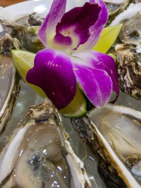Photo of Fresh oysters with orchid flower and lemon top view, close up