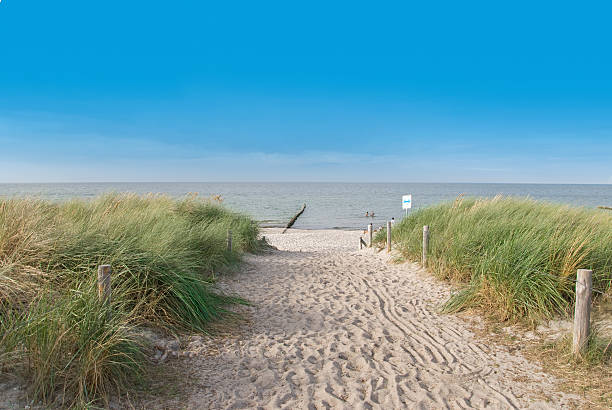 istock A picture of a beautiful beach 120490782