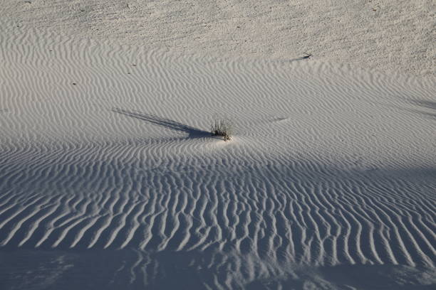 istock White Sands National Monument New Mexico USA 1204908080