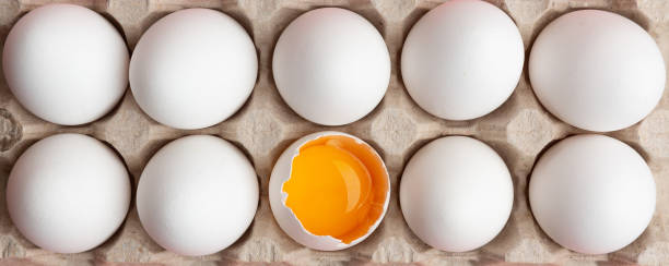 istock White chicken eggs in biodegradable eco cardboard packing 1204912649