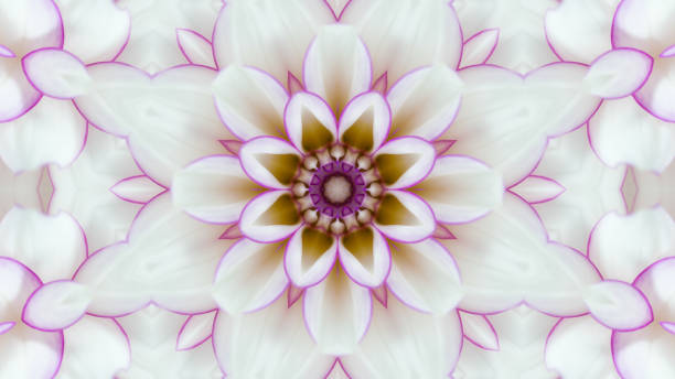 Floral mandala on white background