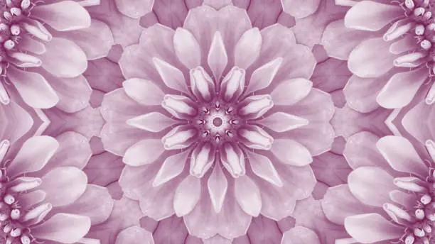 Computer generated from red and pink zinnia flower petals