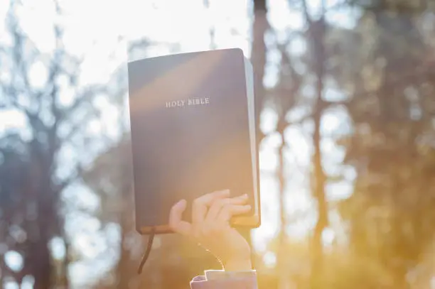 Raised hand holding the Holy Bible illuminated by morning sunlight. copy space. Horizontal shot.