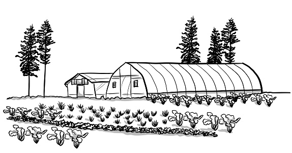 A farm and greenhouse