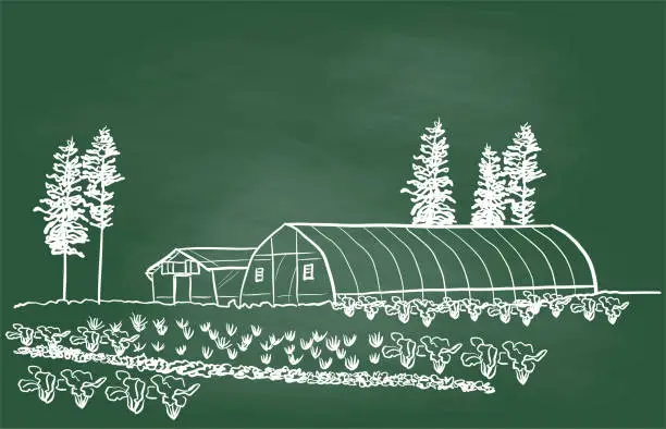 Vector illustration of Green Houses Chalkboard