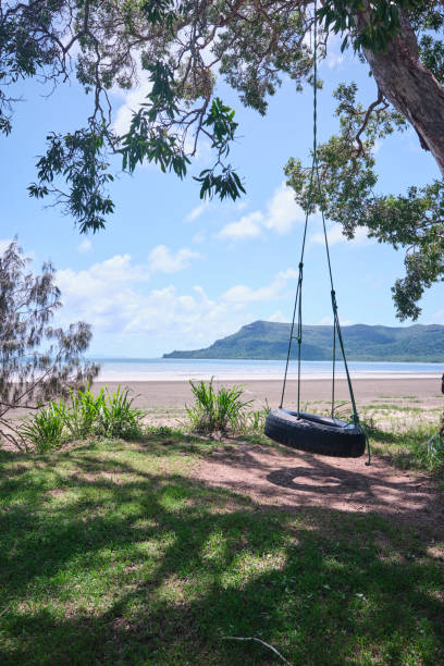 Tyre swing hanging from large tree in Mackay region, North Queensland near the Whitsundays A lot of fun for adults and kids with a tyre swing on the waters edge in the Whitsundays, North Queensland. mackay stock pictures, royalty-free photos & images