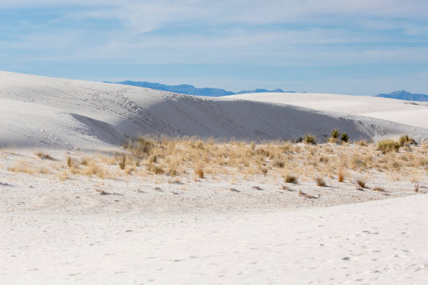 istock White Sands National Park Landscape 1204929046