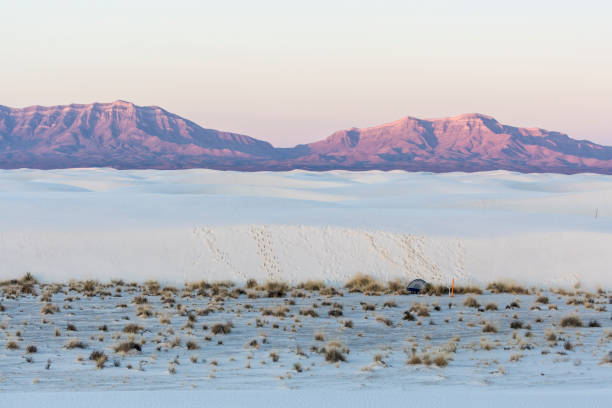 istock Sunrise in White Sands National Park 1204929737
