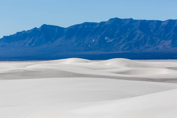 istock Landscape of White Sands National Park 1204929752
