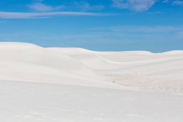 istock Landscape of White Sands National Park 1204929772