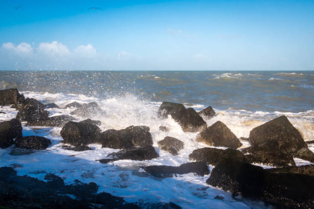 istock Pier at corner of Holland 1204932395
