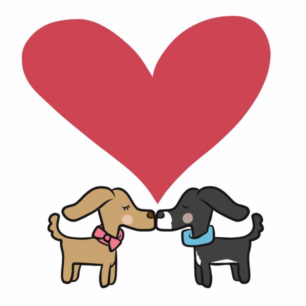 Couple Dog Kissing With Love Heart Cartoon Vector Illustration Stock  Illustration - Download Image Now - iStock