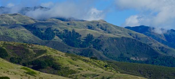 istock Big Sur Wilderness Mystic 1204942269