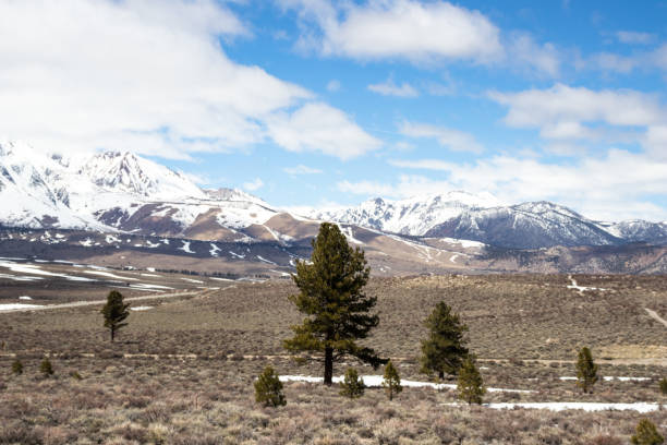 istock Mono Lake Tufa State Natural Preserve 1204944764