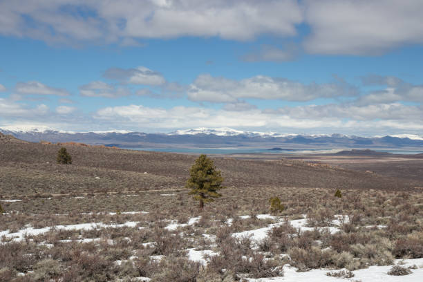 istock Mono Lake Tufa State Natural Preserve 1204944771