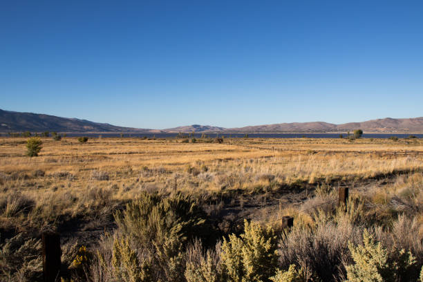 Washoe Lake State Park is a year-round public recreation area occupying 3,775 acres on the southeast shore of Washoe Lake in Washoe County, Nevada. The state park lies to the east of Lake Tahoe, approximately five miles north of Carson City near U.S. Route 395.