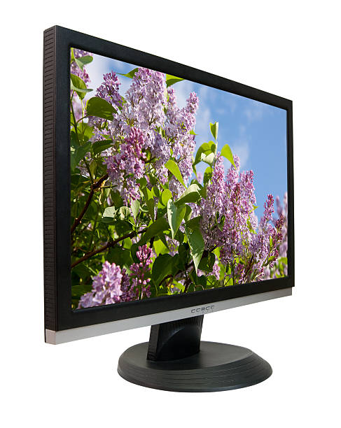 istock Lcd monitor with lilac 120494517