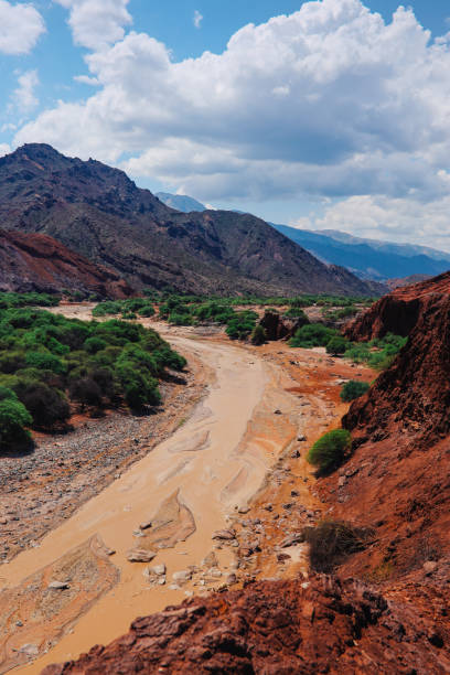istock Mud river in the mountains of Argentina 1204947556