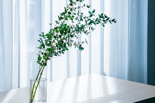 Bouquet in vase decorated near white curtain. 
Modern lifestyle concept.