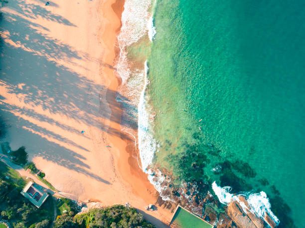 Whale beach aerial view , Sydney Australia