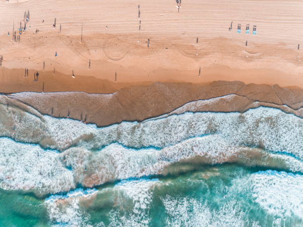 пловцы на пляже мэнли, сидней, австралия - manly beach sydney australia australia beach стоковые фото и изображения