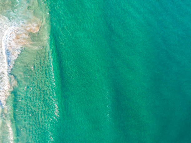 istock Top down aerial of Sydney beach 1204956511