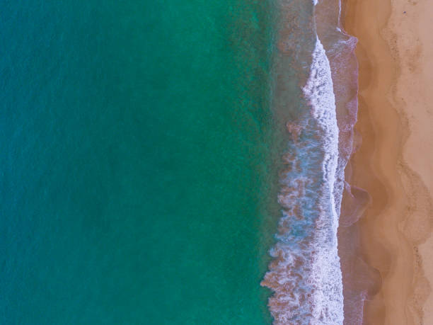 istock Top down aerial of Sydney beach 1204956514