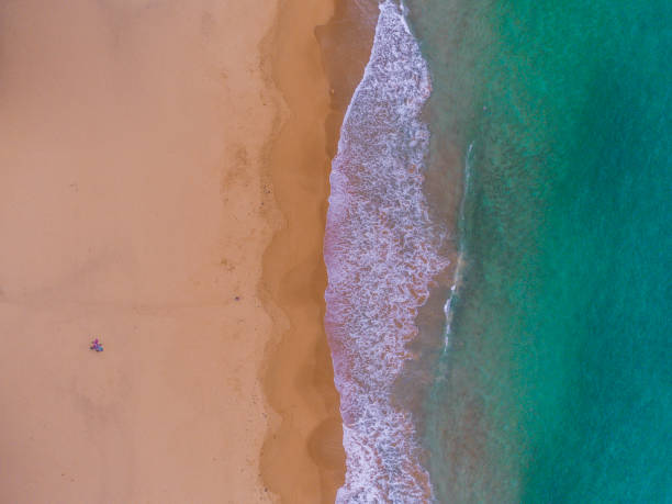 istock Top down aerial of Sydney beach 1204956516